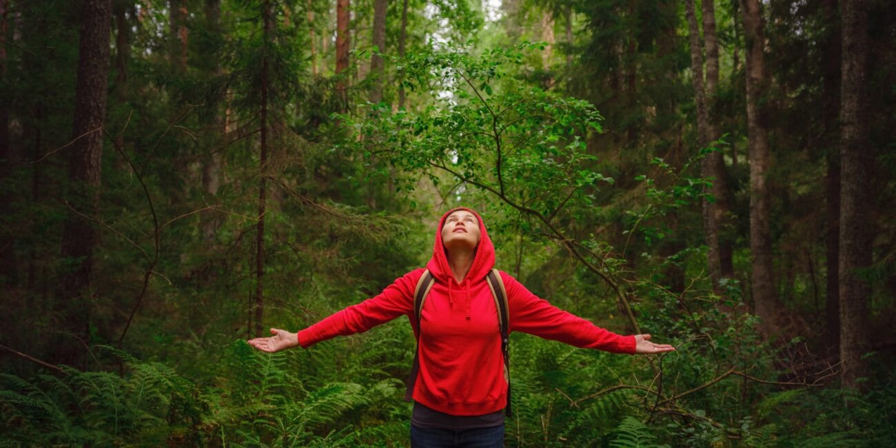 journey in summer Russia, Komarovo village, ecological trail Komarovsky coast. Woman relaxing in park trail hike. Route walkways laid in the forest, in Kurortny District of St. Petersburg