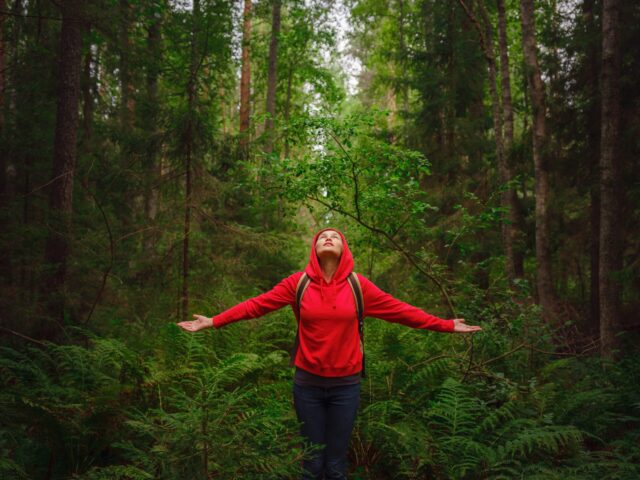 How Nature Affects Your Brain